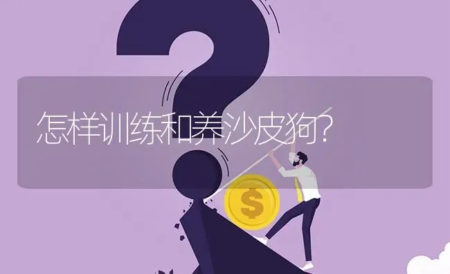 怎样训练和养沙皮狗？ | 动物养殖问答