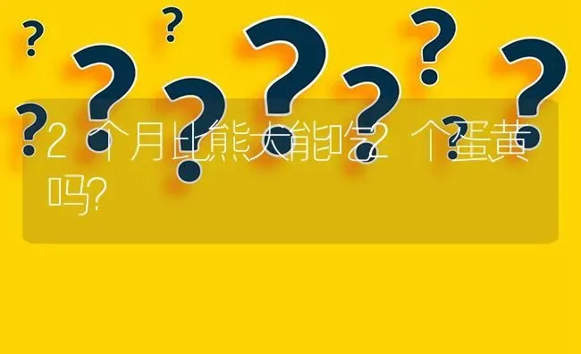 2个月比熊犬能吃2个蛋黄吗？ | 动物养殖问答