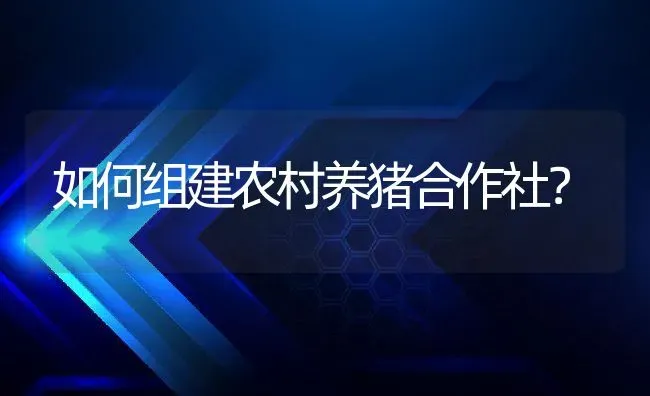 如何组建农村养猪合作社？ | 动物养殖百科