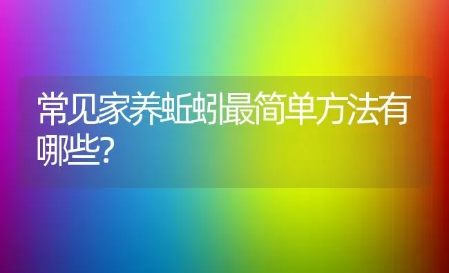 常见家养蚯蚓最简单方法有哪些？ | 动物养殖百科