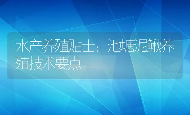 水产养殖贴士：池塘泥鳅养殖技术要点 | 水产养殖知识