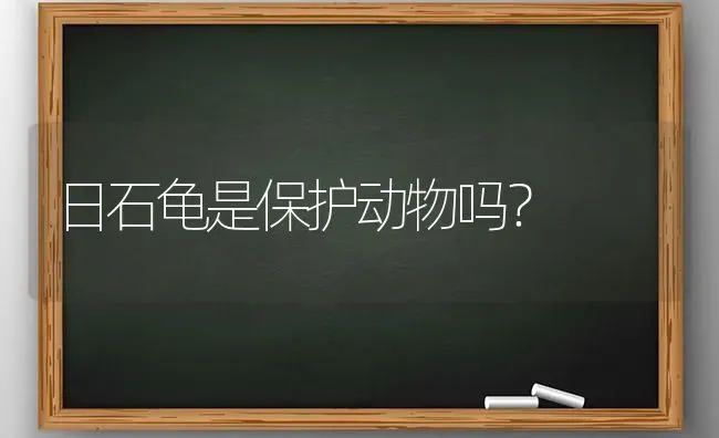 日石龟是保护动物吗？ | 动物养殖问答