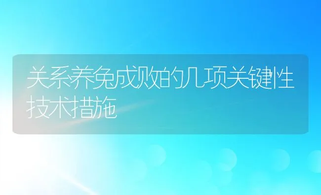 关系养兔成败的几项关键性技术措施 | 动物养殖饲料