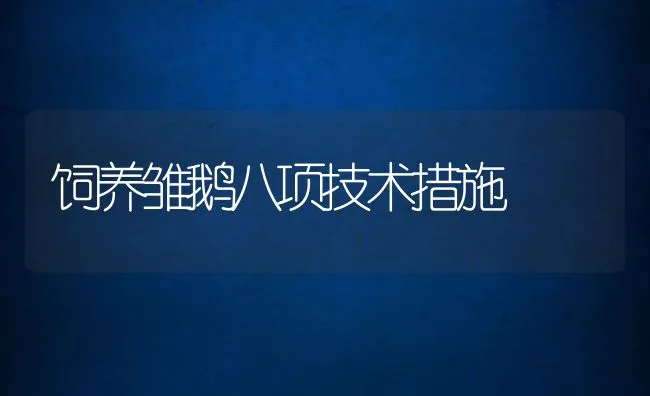 饲养雏鹅八项技术措施 | 动物养殖饲料