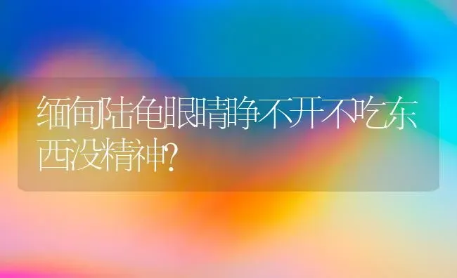 小比熊能关笼子里睡觉吗？ | 动物养殖问答