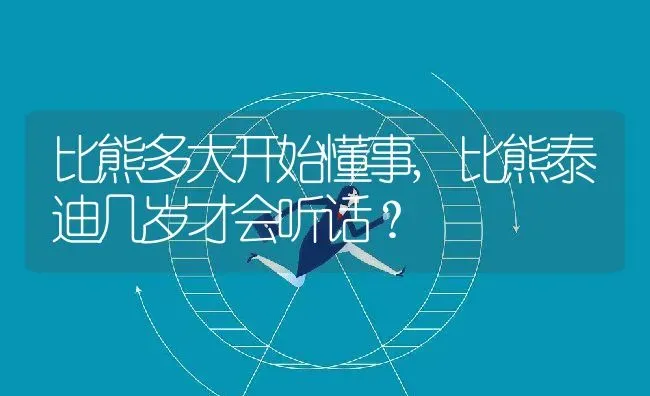 比熊多大开始懂事,比熊泰迪几岁才会听话？ | 宠物百科知识