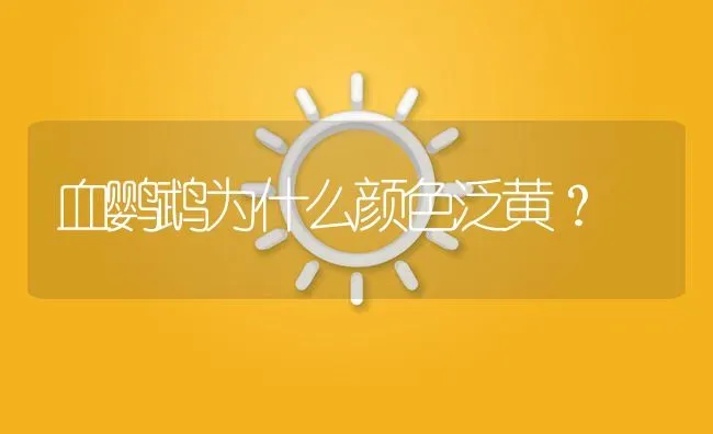 血鹦鹉为什么颜色泛黄？ | 鱼类宠物饲养