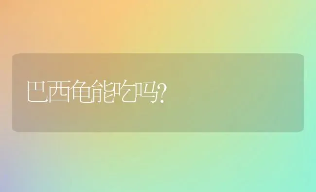 巴西龟能吃吗？ | 动物养殖问答