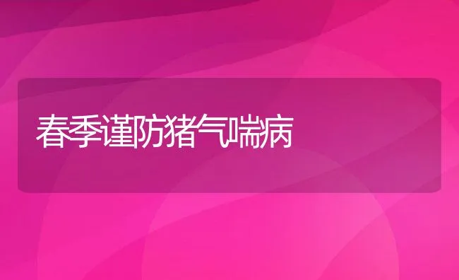 春季谨防猪气喘病 | 动物养殖学堂