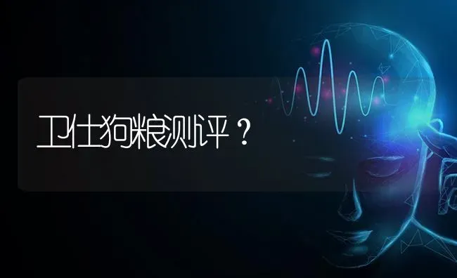 卫仕狗粮测评？ | 动物养殖问答