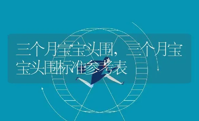 三个月宝宝头围,三个月宝宝头围标准参考表 | 宠物百科知识