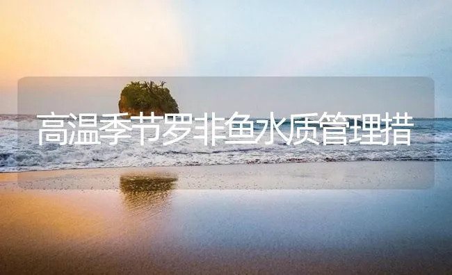 高温季节罗非鱼水质管理措 | 海水养殖技术