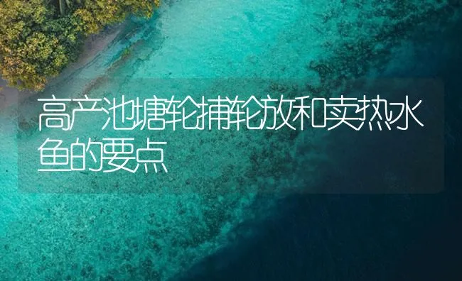 高产池塘轮捕轮放和卖热水鱼的要点 | 海水养殖技术