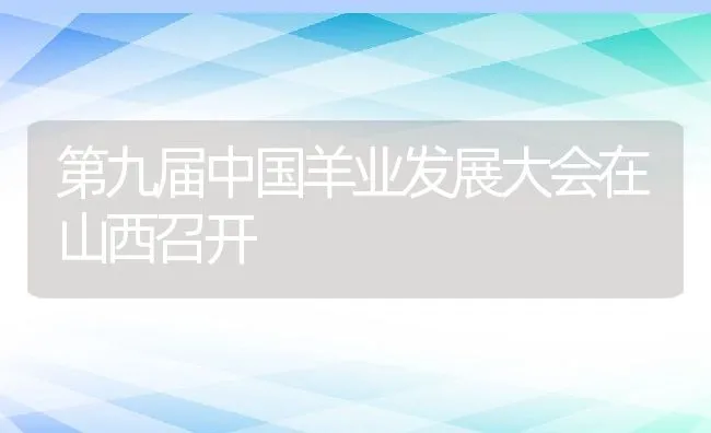 第九届中国羊业发展大会在山西召开 | 动物养殖饲料