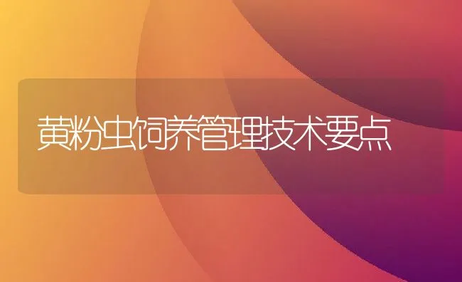 黄粉虫饲养管理技术要点 | 动物养殖学堂