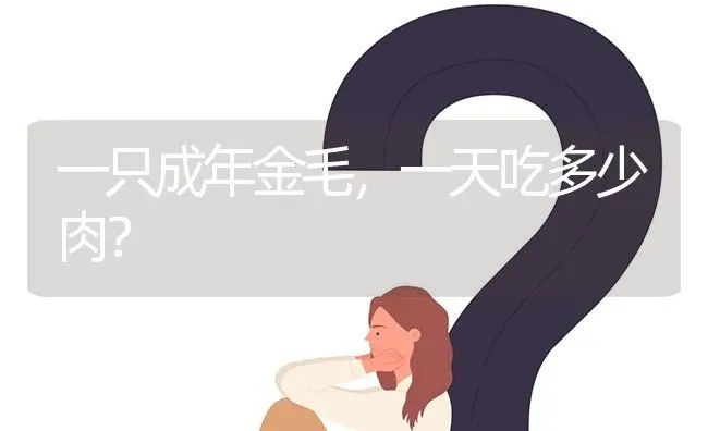 一只成年金毛，一天吃多少肉？ | 动物养殖问答