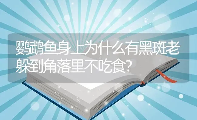 鹦鹉鱼身上为什么有黑斑老躲到角落里不吃食？ | 鱼类宠物饲养