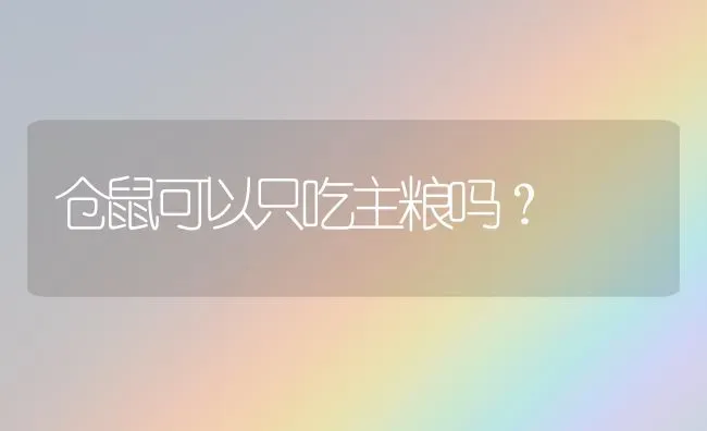 仓鼠可以只吃主粮吗？ | 动物养殖问答