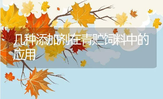 广西南美白对虾养殖病害总结及预测 | 海水养殖技术