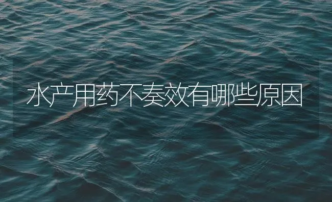 水产用药不奏效有哪些原因 | 海水养殖技术