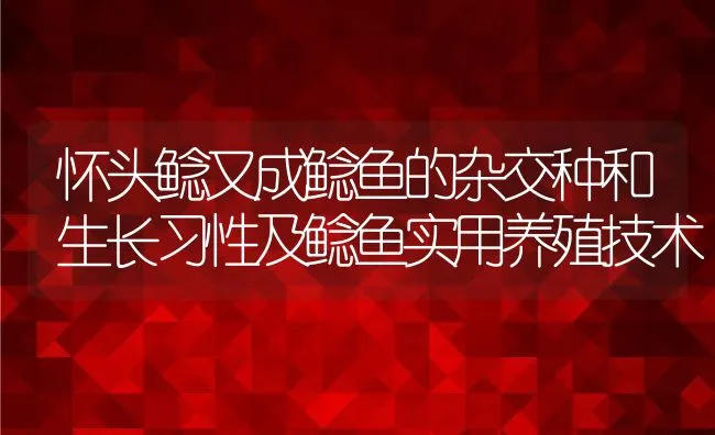 怀头鲶又成鲶鱼的杂交种和生长习性及鲶鱼实用养殖技术 | 动物养殖饲料