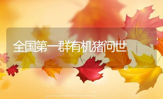 狐狸皮成熟与否的鉴别 | 动物养殖学堂