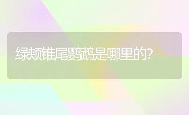 纯白色的狗有什么品种？ | 动物养殖问答