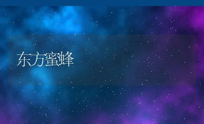 东方蜜蜂 | 水产养殖知识