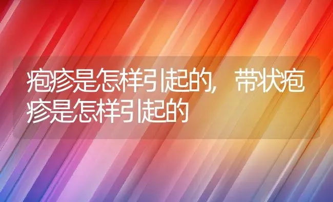 疱疹是怎样引起的,带状疱疹是怎样引起的 | 宠物百科知识