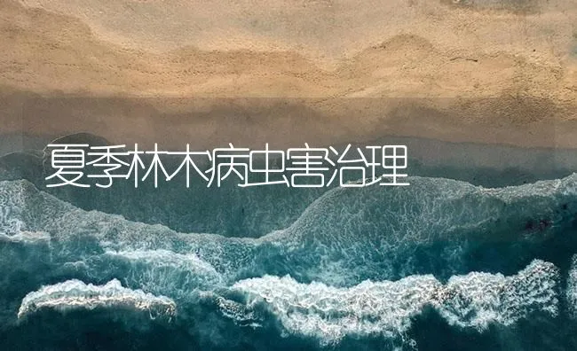 夏季林木病虫害治理 | 海水养殖技术