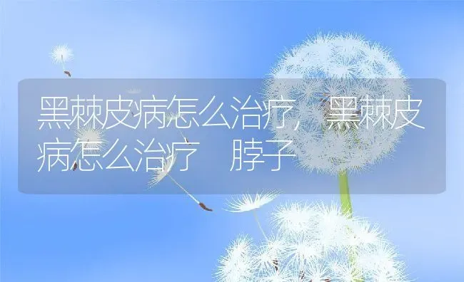 黑棘皮病怎么治疗,黑棘皮病怎么治疗 脖子 | 宠物百科知识