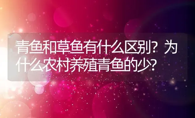 青鱼和草鱼有什么区别？为什么农村养殖青鱼的少? | 动物养殖百科