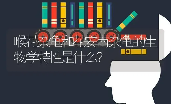 喉花杂龟和花安南杂龟的生物学特性是什么？ | 动物养殖问答