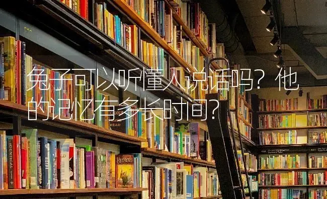 兔子可以听懂人说话吗？他的记忆有多长时间？ | 动物养殖问答