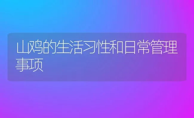 山鸡的生活习性和日常管理事项 | 动物养殖百科