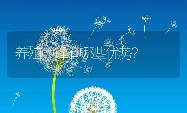 养殖中锋有哪些优势？ | 动物养殖百科