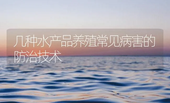 几种水产品养殖常见病害的防治技术 | 海水养殖技术