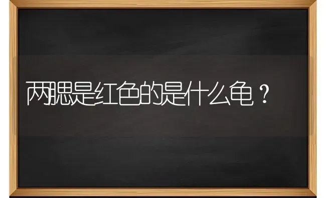 两腮是红色的是什么龟？ | 动物养殖问答