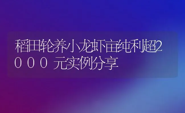 稻田轮养小龙虾亩纯利超2000元实例分享 | 动物养殖百科