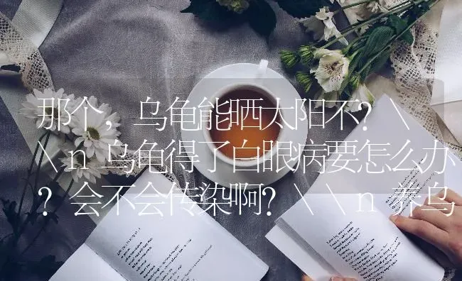 那个，乌龟能晒太阳不？\n乌龟得了白眼病要怎么办？会不会传染啊？\n养乌龟要用什么水？ | 动物养殖问答