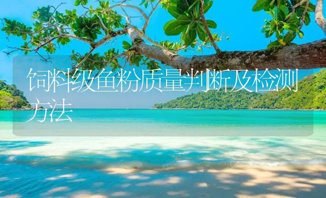 饲料级鱼粉质量判断及检测方法 | 海水养殖技术