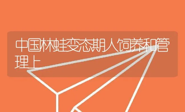 中国林蛙变态期人饲养和管理上 | 动物养殖学堂