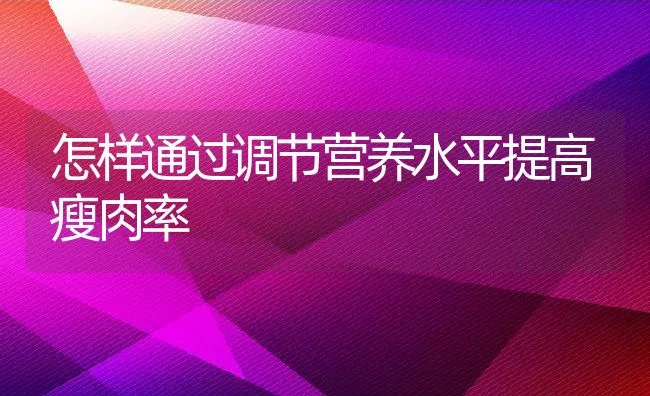 怎样通过调节营养水平提高瘦肉率 | 动物养殖饲料