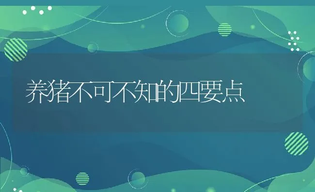 养猪不可不知的四要点 | 动物养殖饲料