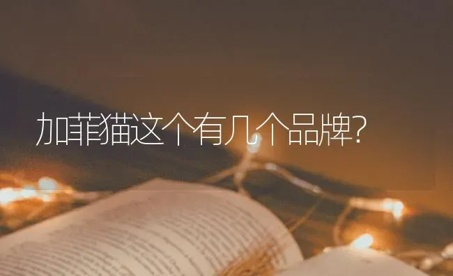 加菲猫这个有几个品牌？ | 动物养殖问答