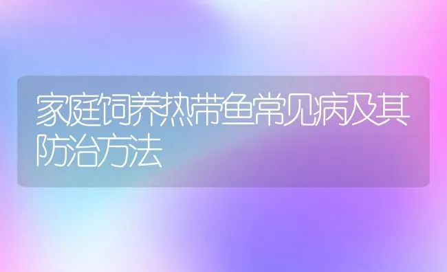 家庭饲养热带鱼常见病及其防治方法 | 动物养殖教程