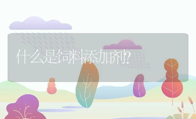 什么是饲料添加剂? | 动物养殖学堂