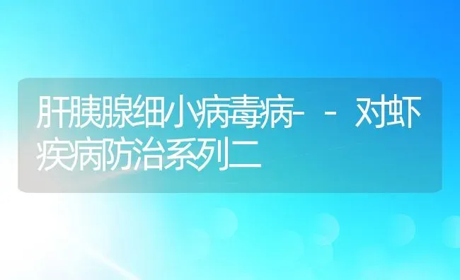 肝胰腺细小病毒病--对虾疾病防治系列二 | 动物养殖百科