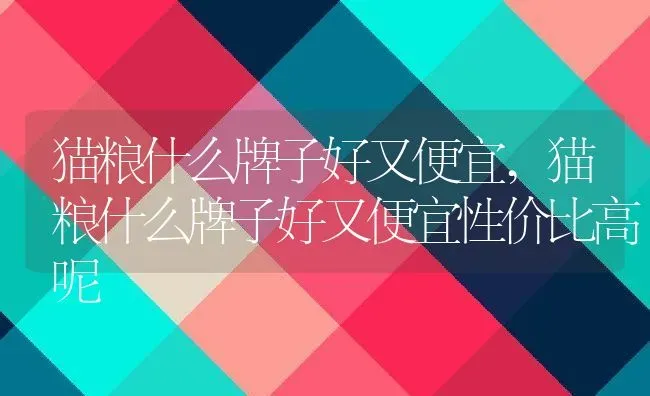 猫粮什么牌子好又便宜,猫粮什么牌子好又便宜性价比高呢 | 宠物百科知识