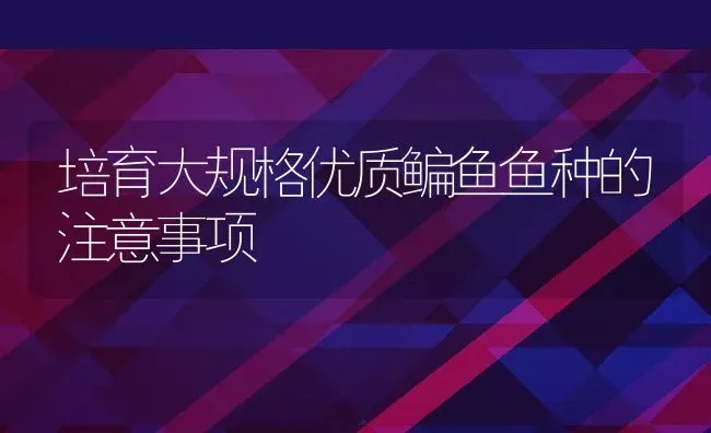 培育大规格优质鳊鱼鱼种的注意事项 | 淡水养殖技术